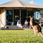 Roo glamping tent paperpark