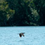 DSC00544-Enhanced (Ltr-v44)_mr-3 copy